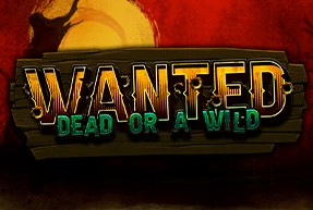 Wanted Dead Or A Wild